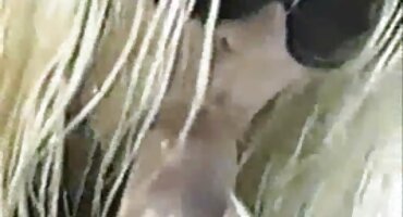 আপনার সেক্সি ভিডিও বিএফ প্রিয় খেলনা সঙ্গে নিরাপদ যৌনতা