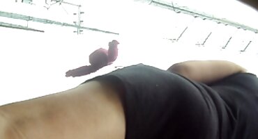 পিহারের সদস্য 25 সেন্টিমিটারের কম নয় বাংলা সেক্সি বিএফ