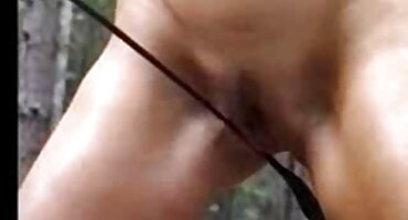 porn stars porn stars porn stars