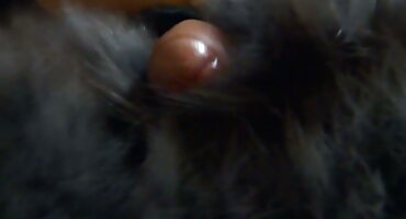 তারা মুখ দিয়ে লোকটিকে বীর্যপাতের জন্য হট সেক্সি বিএফ নিয়ে আসে।