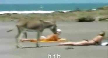 মাতাল সেক্সি সেক্স ভিডিও রেডহেড বোন